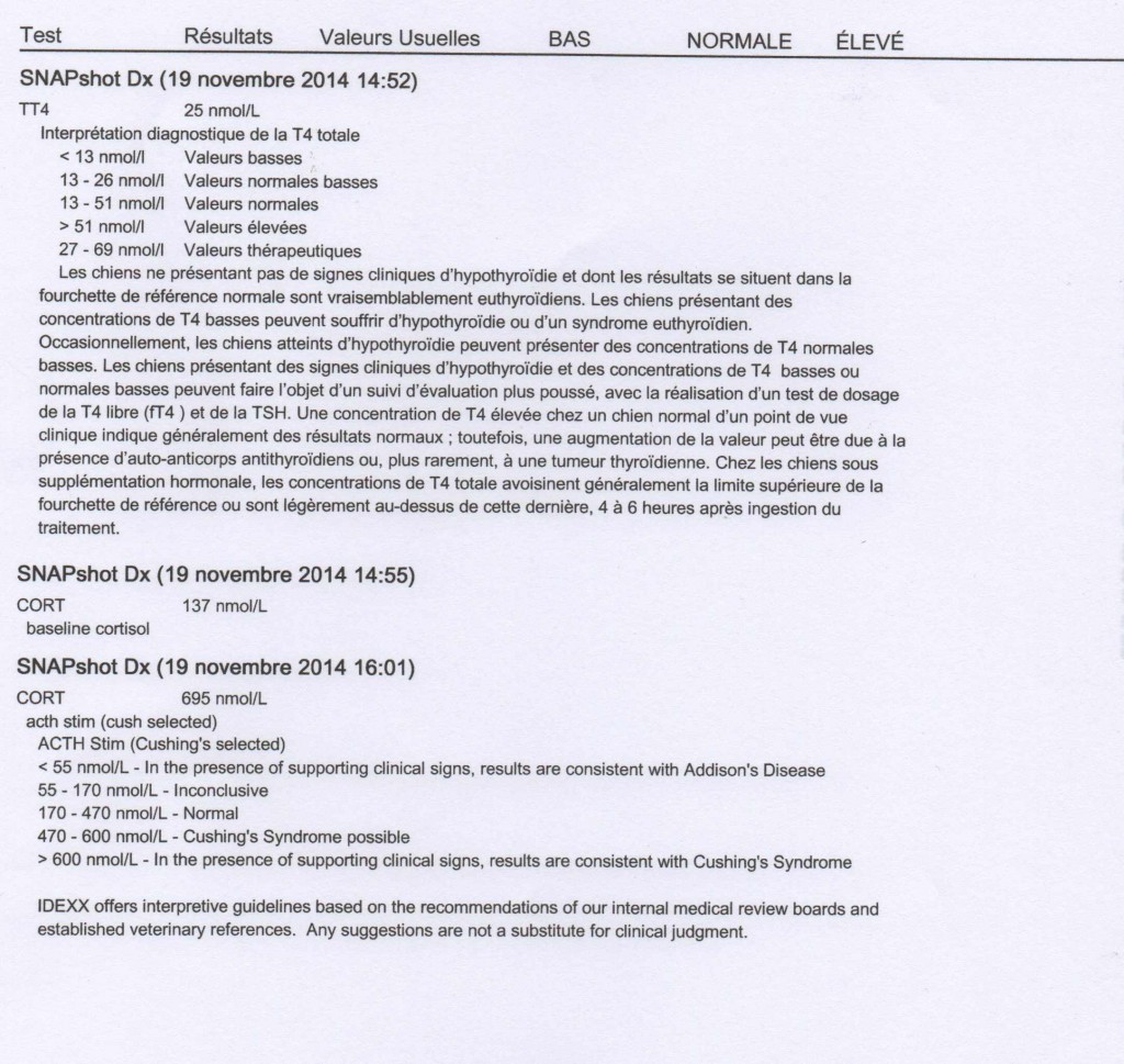 VETORTHOPEDIE » Un cas de tétra plantigradie associée à un syndrome de